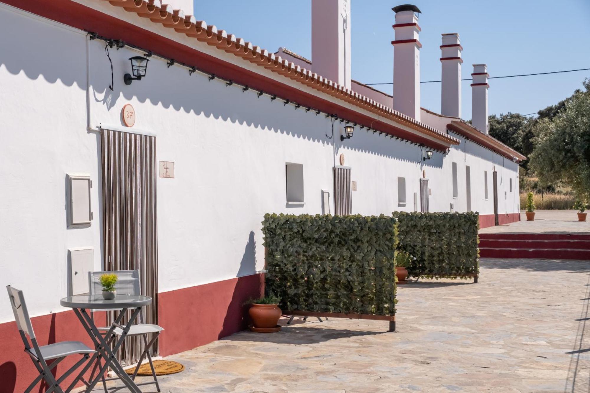 Casa Da Ritinha - Praia Azenhas D El Rey Montes Juntos Luaran gambar